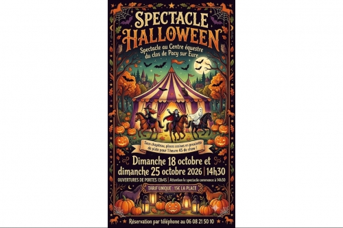 Spectacle équestre