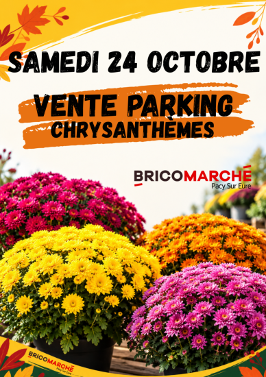 BRICOMARCHE - VENTE PARKING CHRYSANTHÈMES 